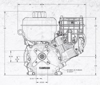 Briggs & Stratton Motor ca. 5 PS(HP) Vanguard Welle 19,05/62 mm  45° Hangtauglich