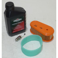 Original Briggs &amp; Stratton Wartungskit 992235