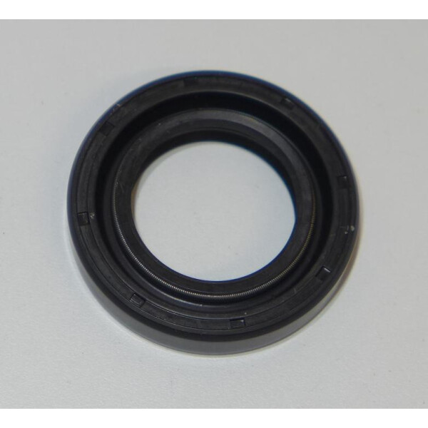 2527-Tendicatena distribuzione (Ricambio Originale) OEM compatibile con