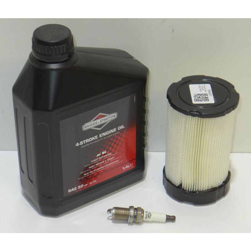 Original Briggs & Stratton Wartungskit Modell 31xx ohne Ölfilter