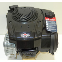 Rasenm&auml;her Motor Briggs &amp; Stratton ca...