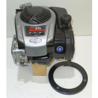 Rasenm&auml;her Motor Briggs &amp; Stratton ca....