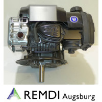 Rasenmäher Motor Briggs & Stratton ca. 4,5...
