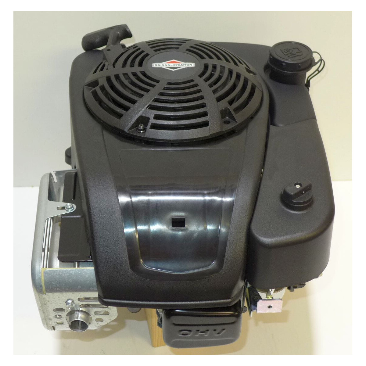 Rasenmaher Motor Briggs Stratton