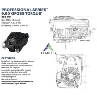 Rasenmäher/Aufsitzer Motor Briggs & Stratton 7,5 HP 1000PXi Welle 25/80