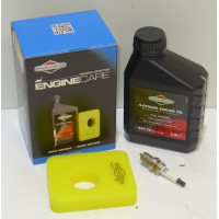 Original Briggs & Stratton Wartungskit 992231
