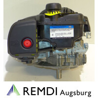 Rasenmäher Motor Briggs & Stratton ca 4 PS (HP) 500E Serie Welle 22,2/62
