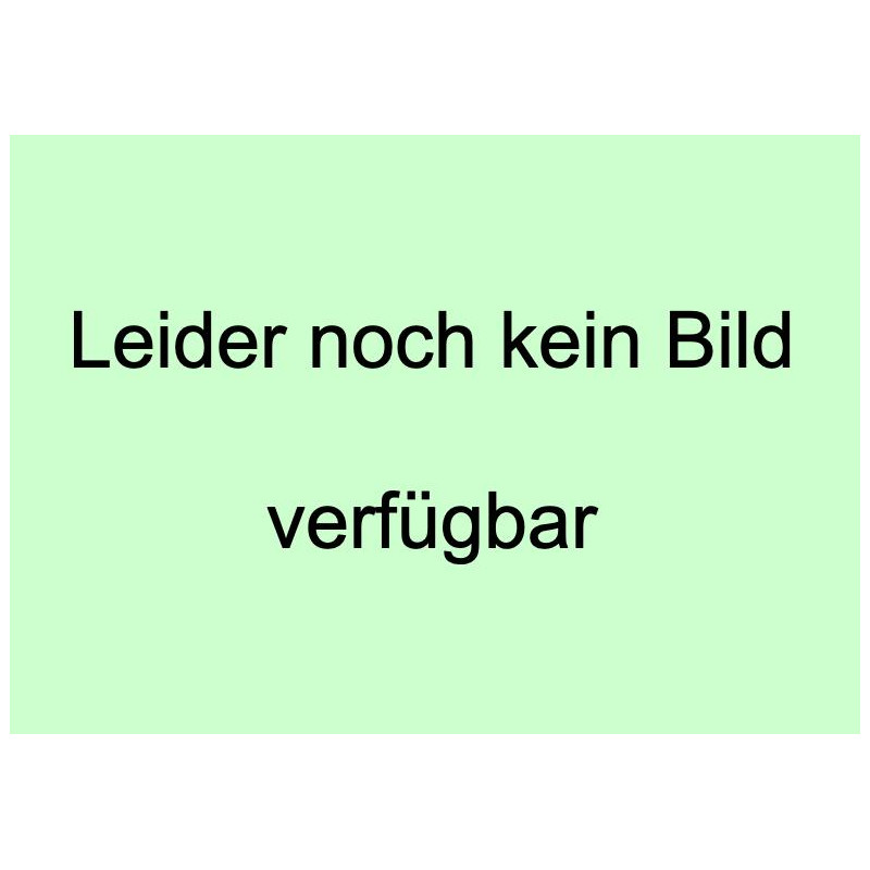 Viking Elektromagnetkupplung 6140 160 2002