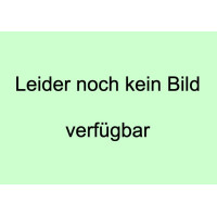 Viking Elektromagnetkupplung 6140 160 2002