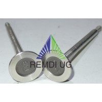 Original Briggs &amp; Stratton Auslassventil 26533
