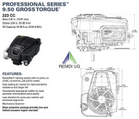 Rasenmäher/Aufsitzer Motor Briggs & Stratton 7,5 PS(HP) 950PXi (950E) Welle 25,4/80