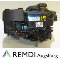 Rasenmäher/Aufsitzer Motor Briggs & Stratton ca 6,5 PS(HP) 850E I/C Serie Welle 22,2/62