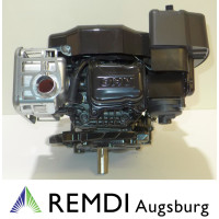 Rasenmäher/Aufsitzer Motor Briggs & Stratton ca...