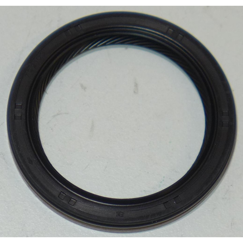 Original Briggs & Stratton Simmerring 795387