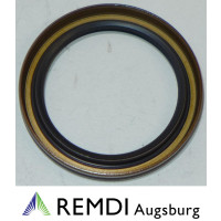 Original Briggs & Stratton Simmerring 795387