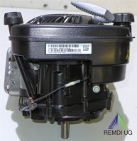 Rasenmäher/Aufsitzer Motor Briggs & Stratton ca 5 PS(HP) 750EX Welle 22,2/80 E-Start