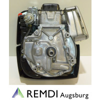 Rasenmäher/Aufsitzer Motor Briggs & Stratton ca 5 PS(HP) 750EX Serie Welle 22,2/80