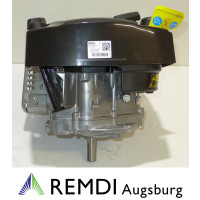 Rasenmäher/Aufsitzer Motor Briggs & Stratton ca 5 PS(HP) 750EX Serie Welle 22,2/80
