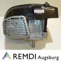 Rasenmäher/Aufsitzer Motor Briggs & Stratton ca 5 PS(HP) 750EX Serie Welle 22,2/80